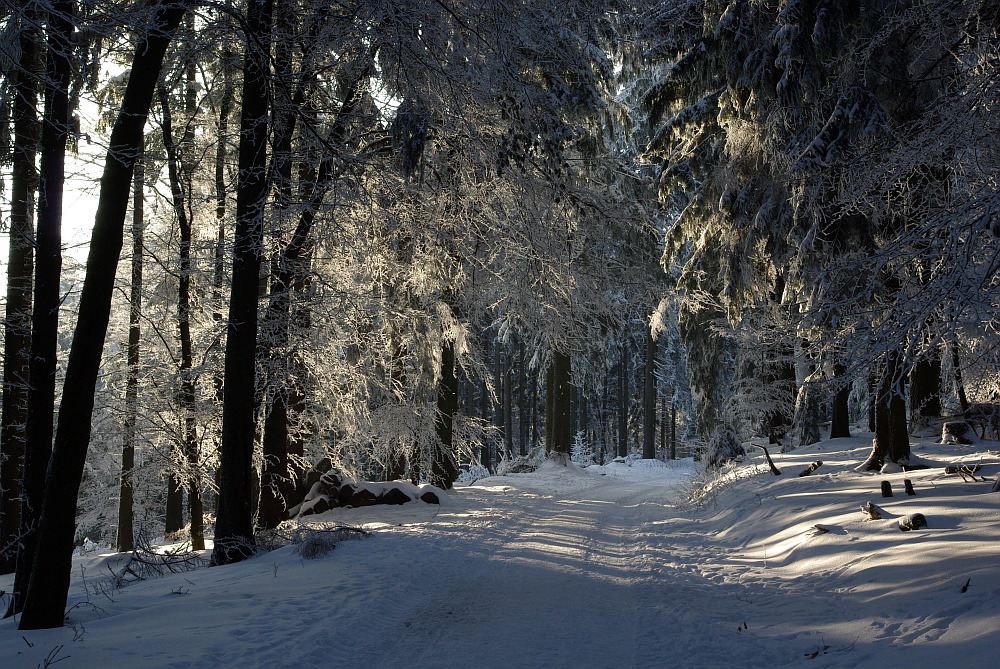 Mein Weg