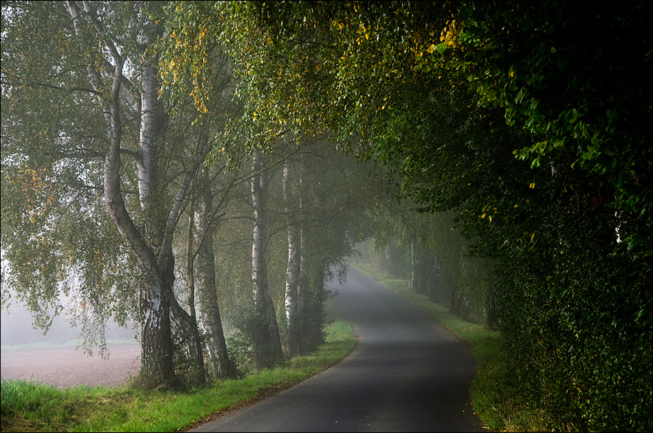 mein Weg