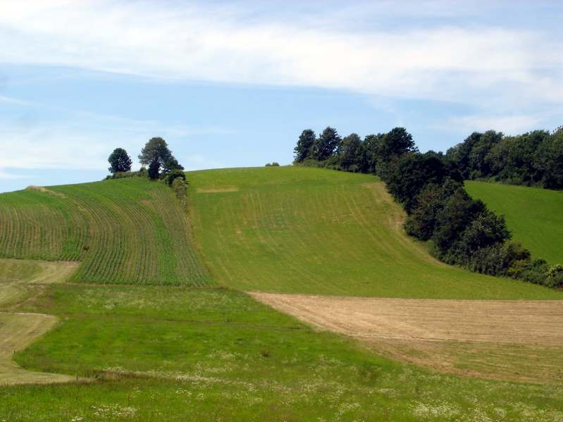 Mein Weg ?