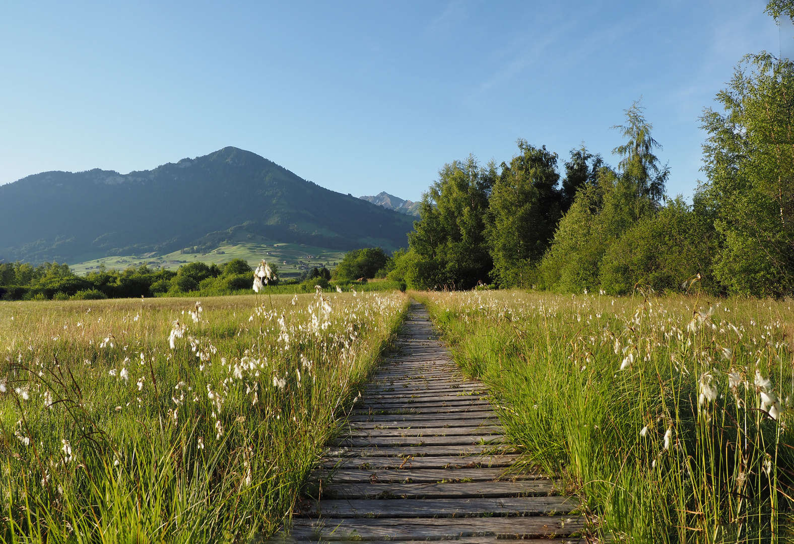 mein weg...