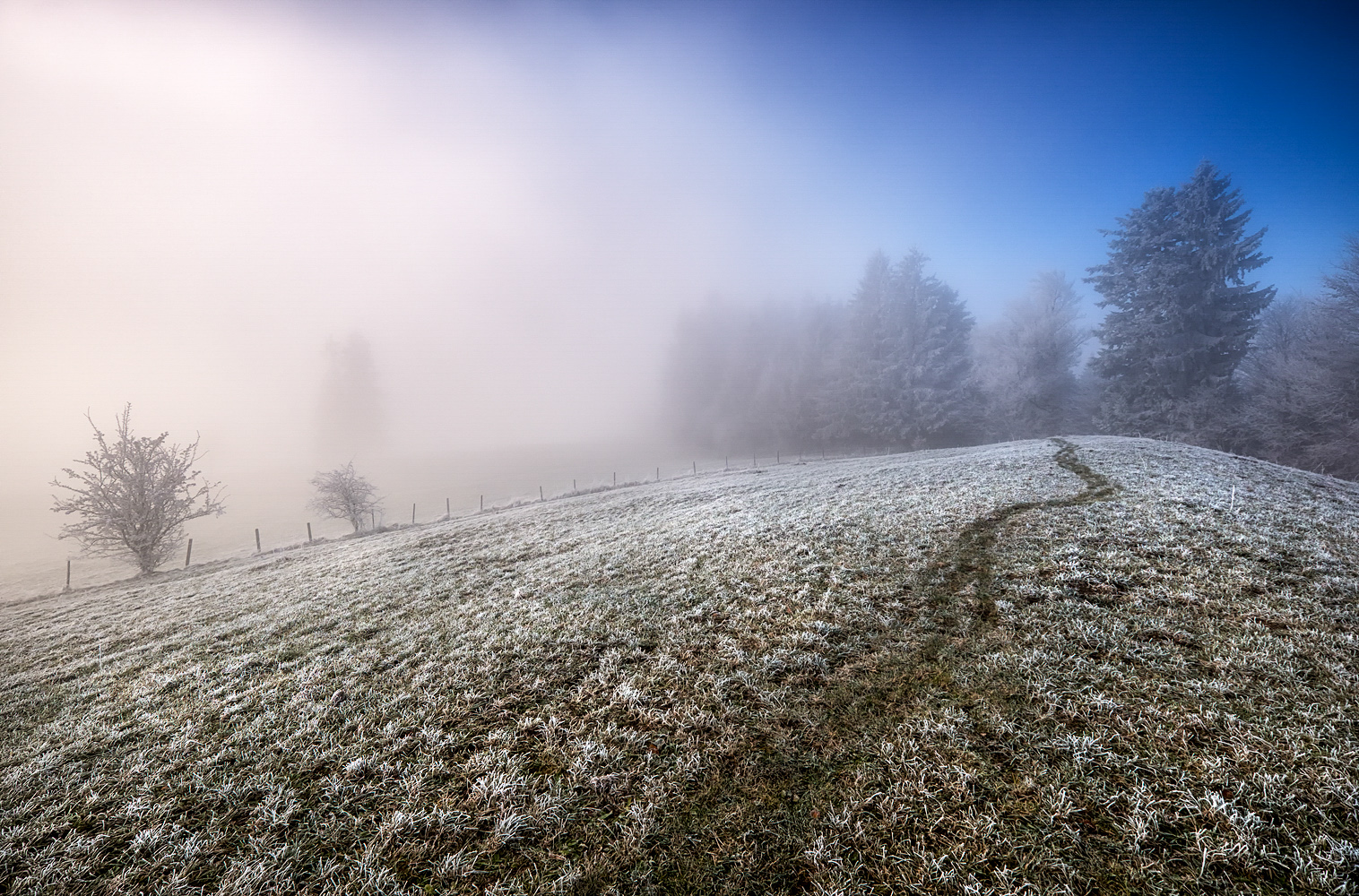 mein weg durch den frost 