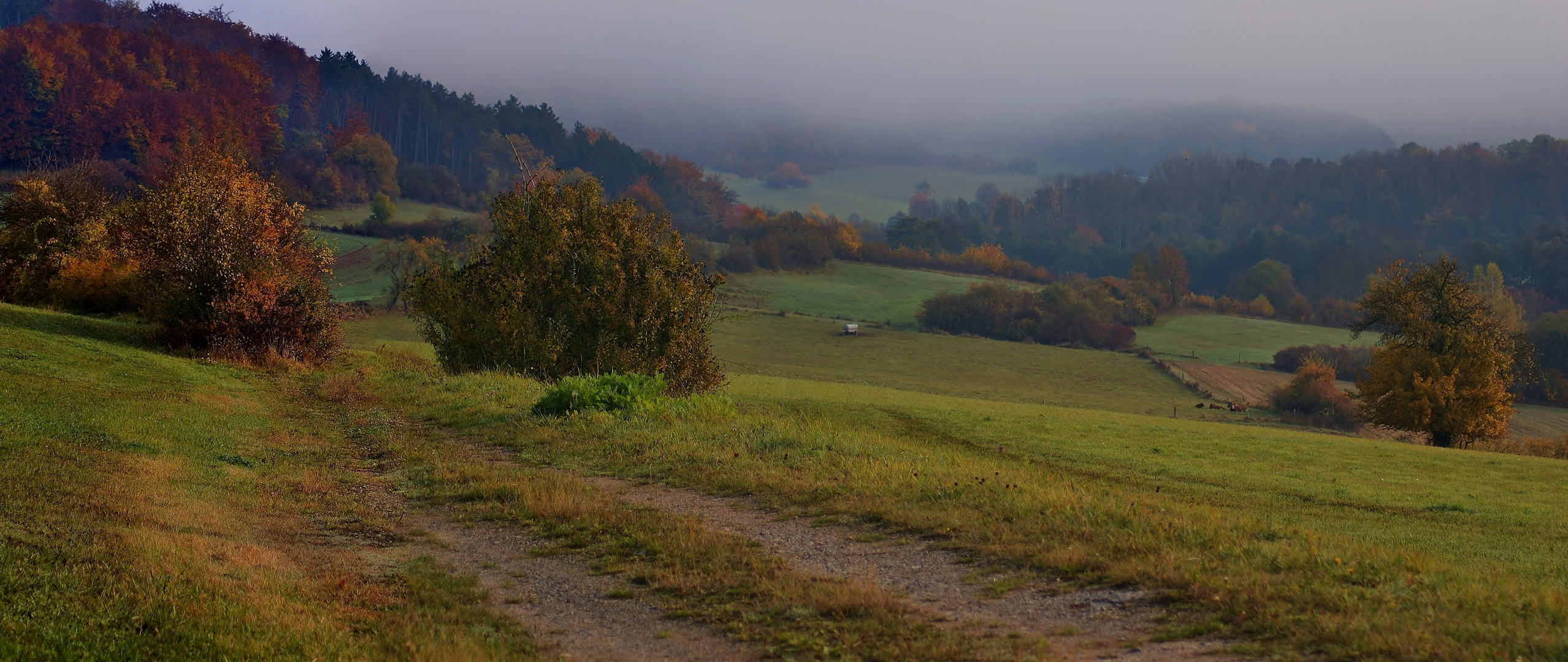 Mein Weg...