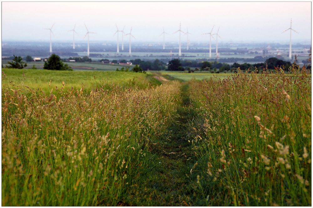 "Mein Weg" im Mai