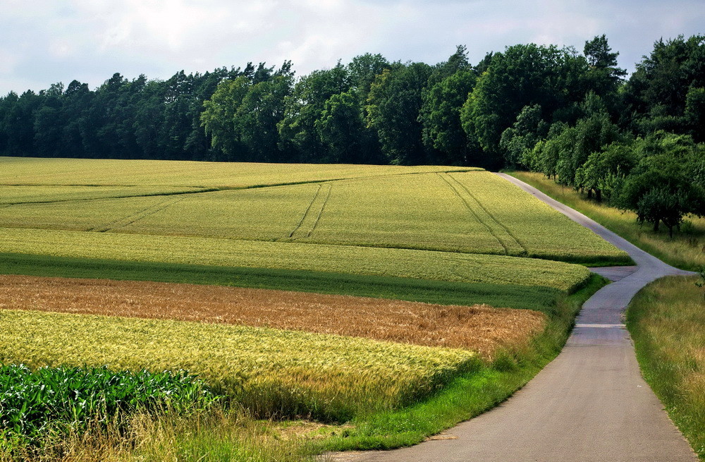 Mein Weg in den Schönbuch