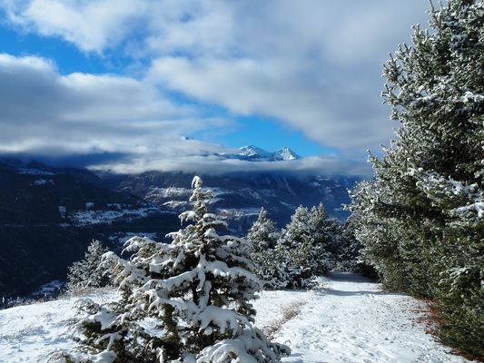 Mein Weg, mein Ziel ...