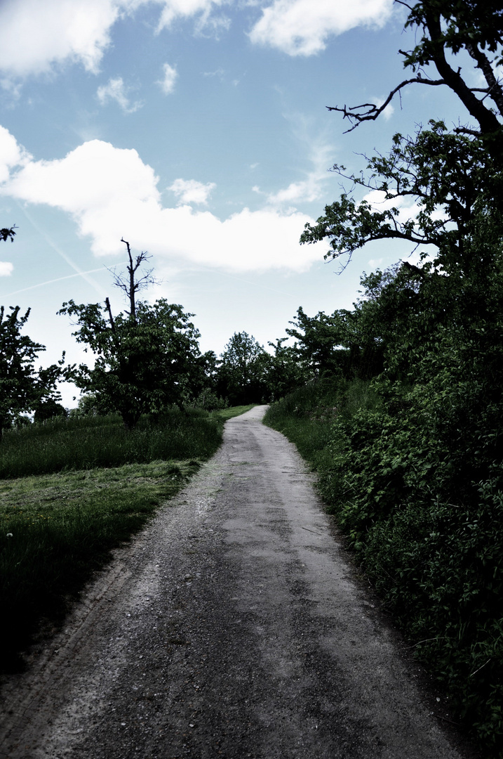 Mein Weg mit der Natur im Einklang