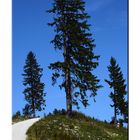 Mein weg zum Unternberg Ruhpolding