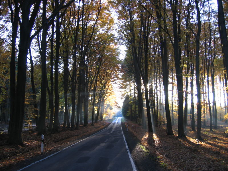 Mein Weg zur Arbeit!