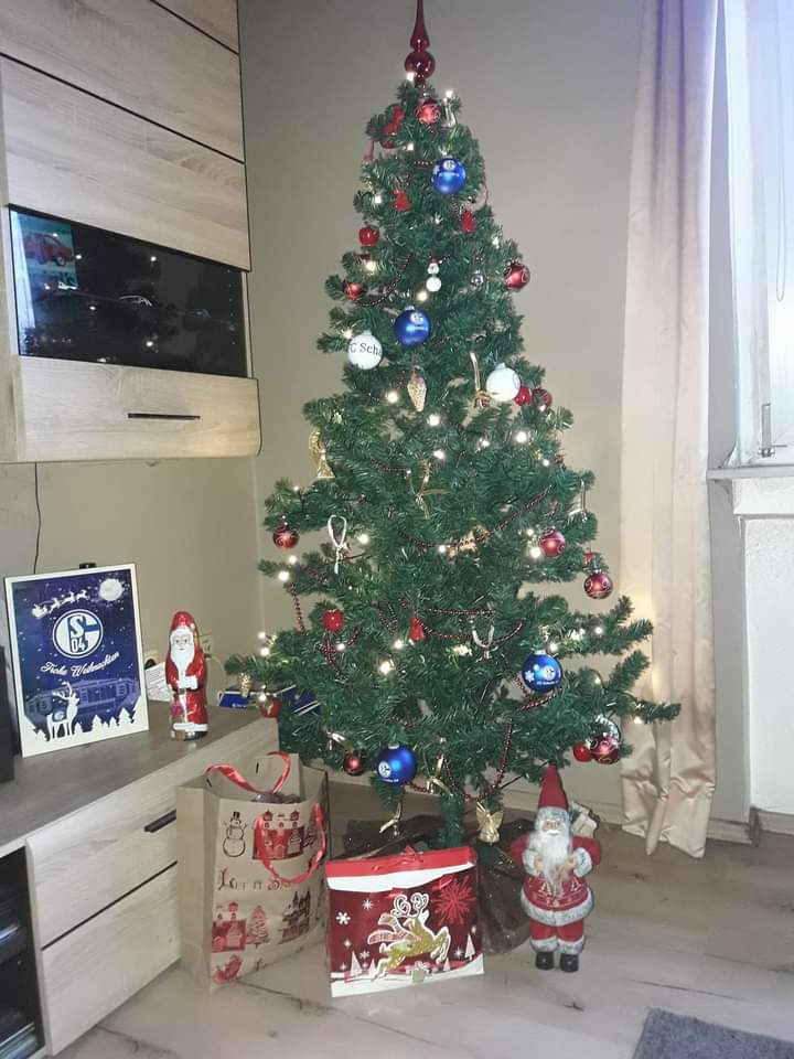 Mein Weihnachtsbaum ist geschmückt