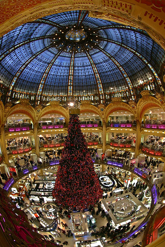 mein Weihnachtsbaum steht momentan noch in Paris