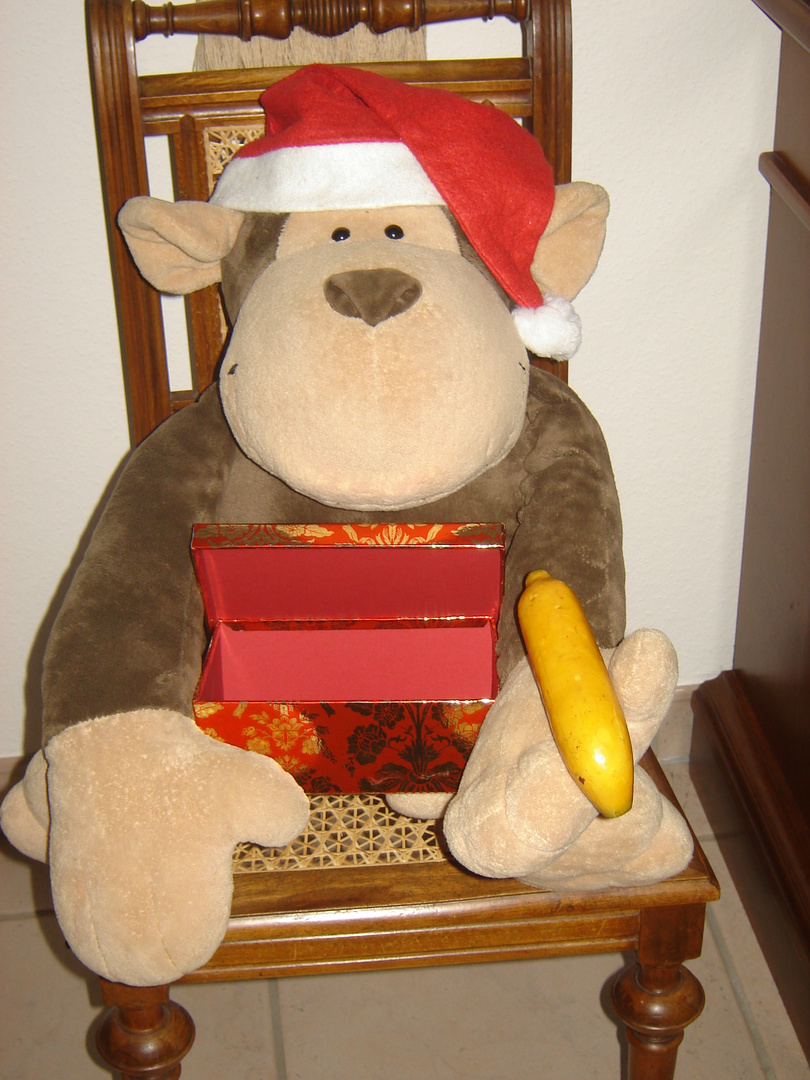 Mein Weihnachtsgeschenk 2010