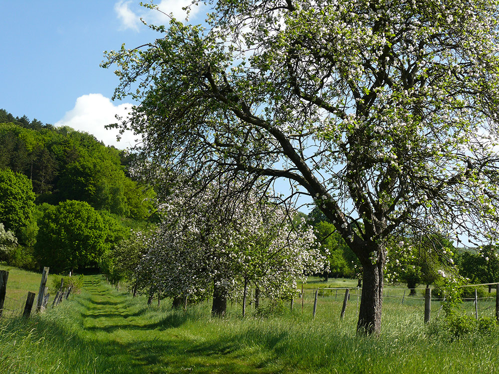 Mein Weserbergland