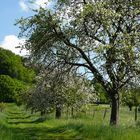 Mein Weserbergland