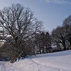 Mein Weserbergland III