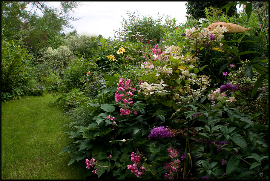Mein wilder Garten 2 Foto &amp; Bild landschaft, garten