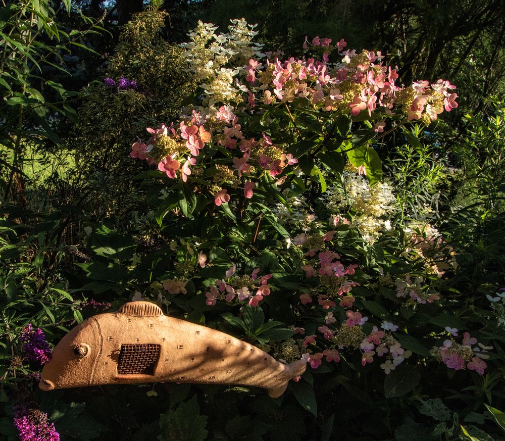 Mein wilder Garten 9 Foto & Bild flora, natur, kleiner garten Bilder