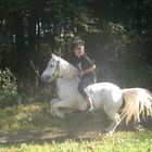 Mein wildes Pony