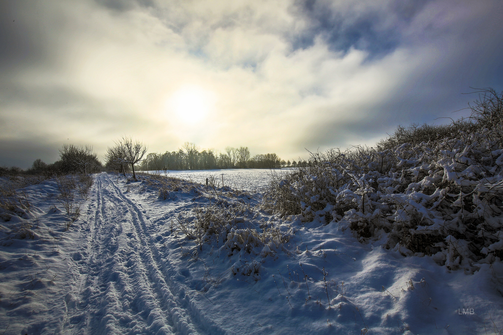 Mein Winter-Erinnerungsfoto