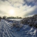 Mein Winter-Erinnerungsfoto