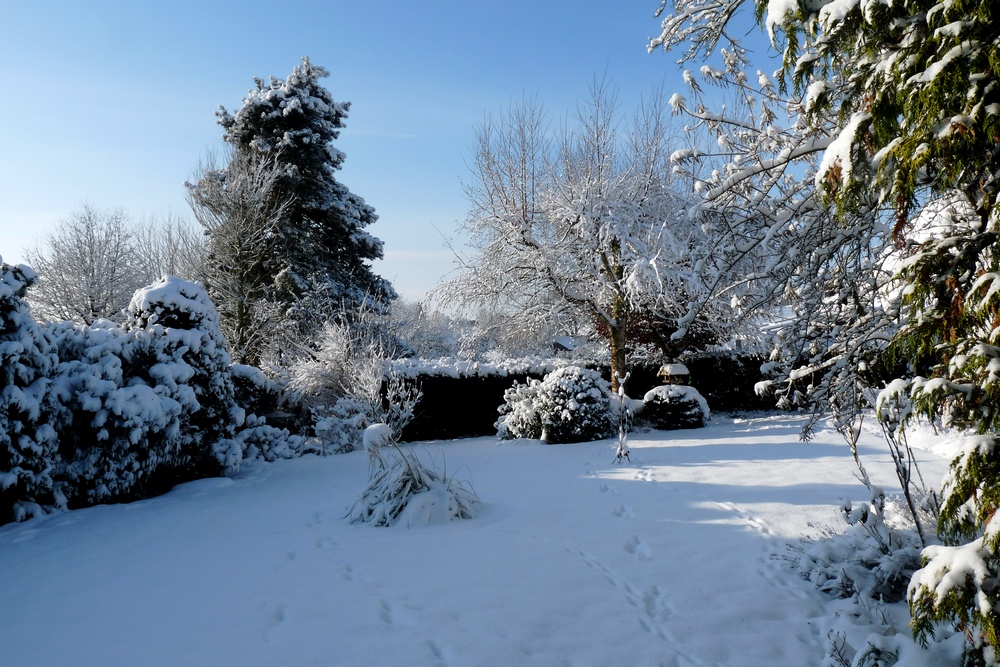 Mein WinterGarten... Foto & Bild jahreszeiten, winter, natur Bilder