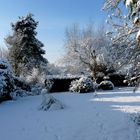 Mein Winter-Garten...