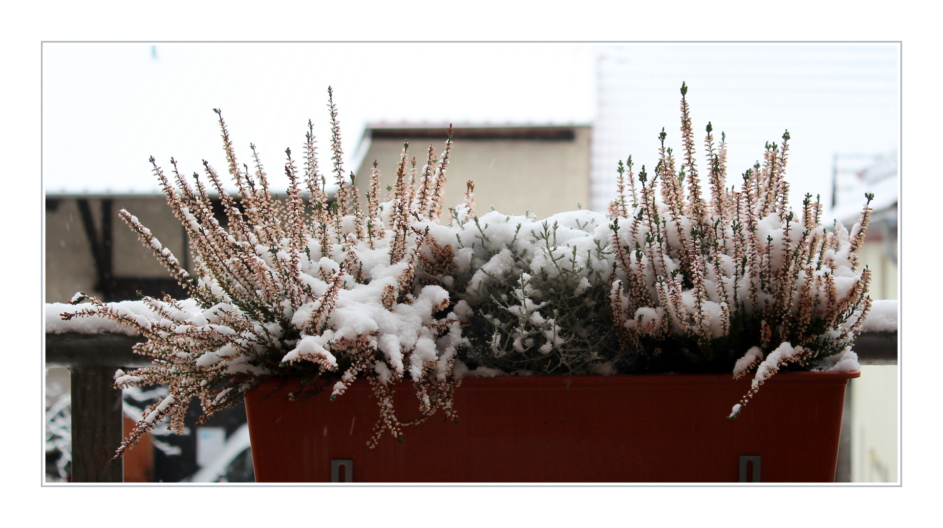 Mein Winter-Wochenend-Blümchen...