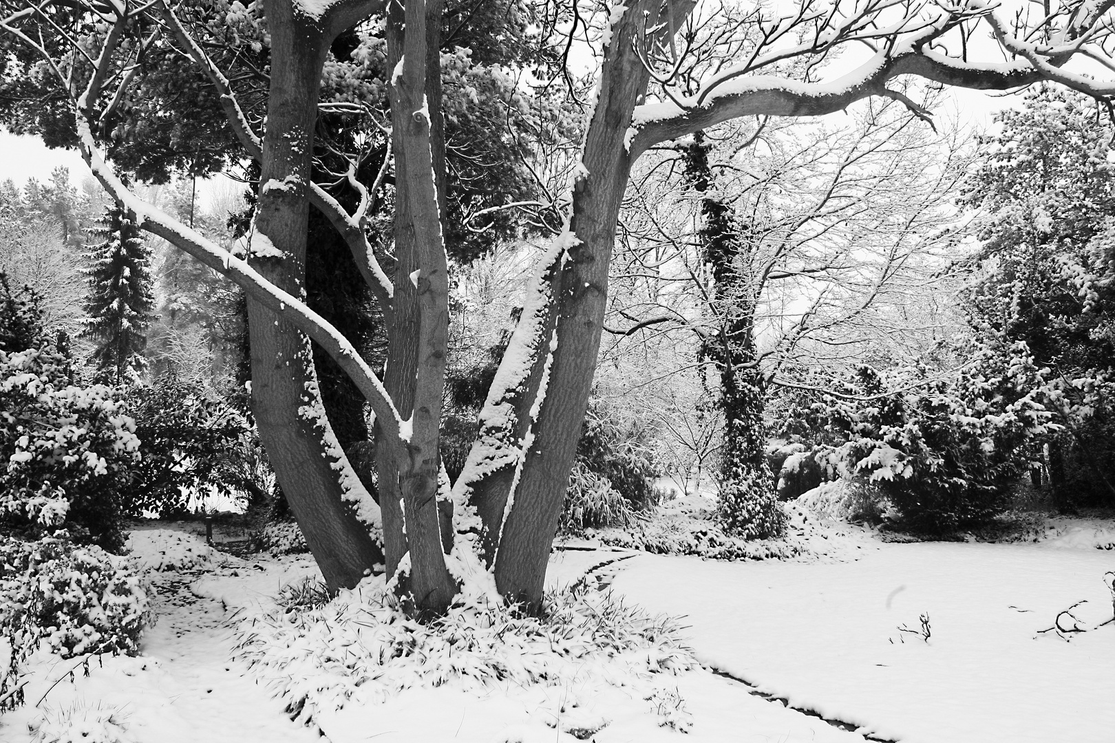 Mein "Wintergarten"