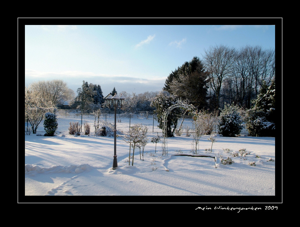 Mein Wintergarten 2009