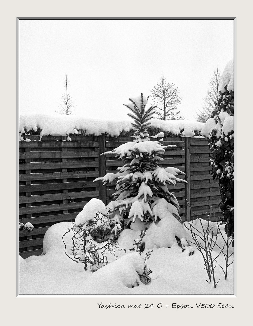 Mein Wintergarten