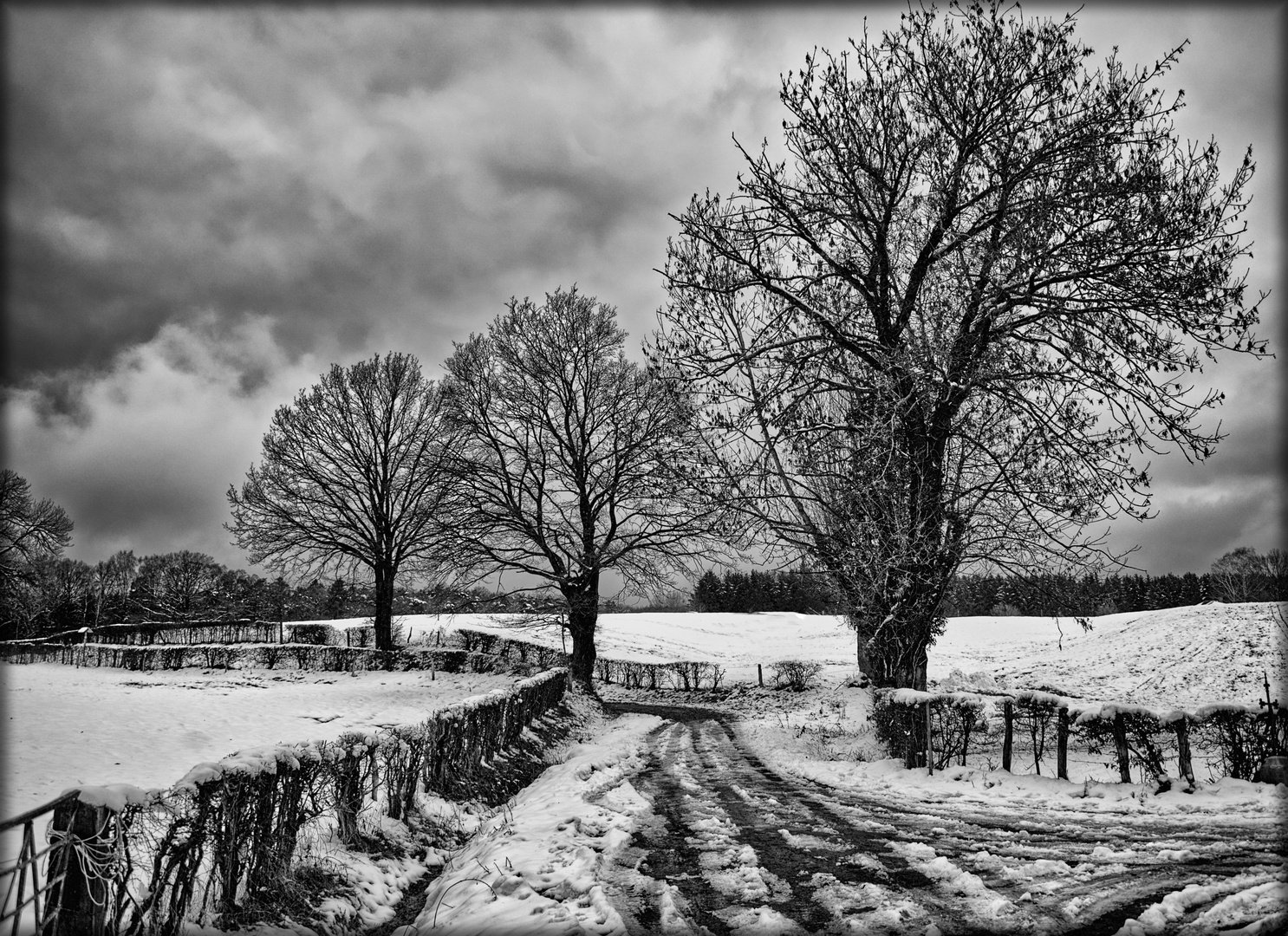 Mein winterlicher Spazierweg - Ma promenade hivernale