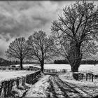 Mein winterlicher Spazierweg - Ma promenade hivernale