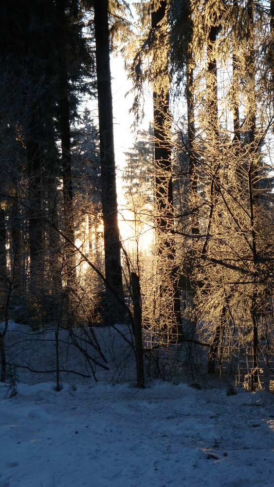 mein Wintertraum