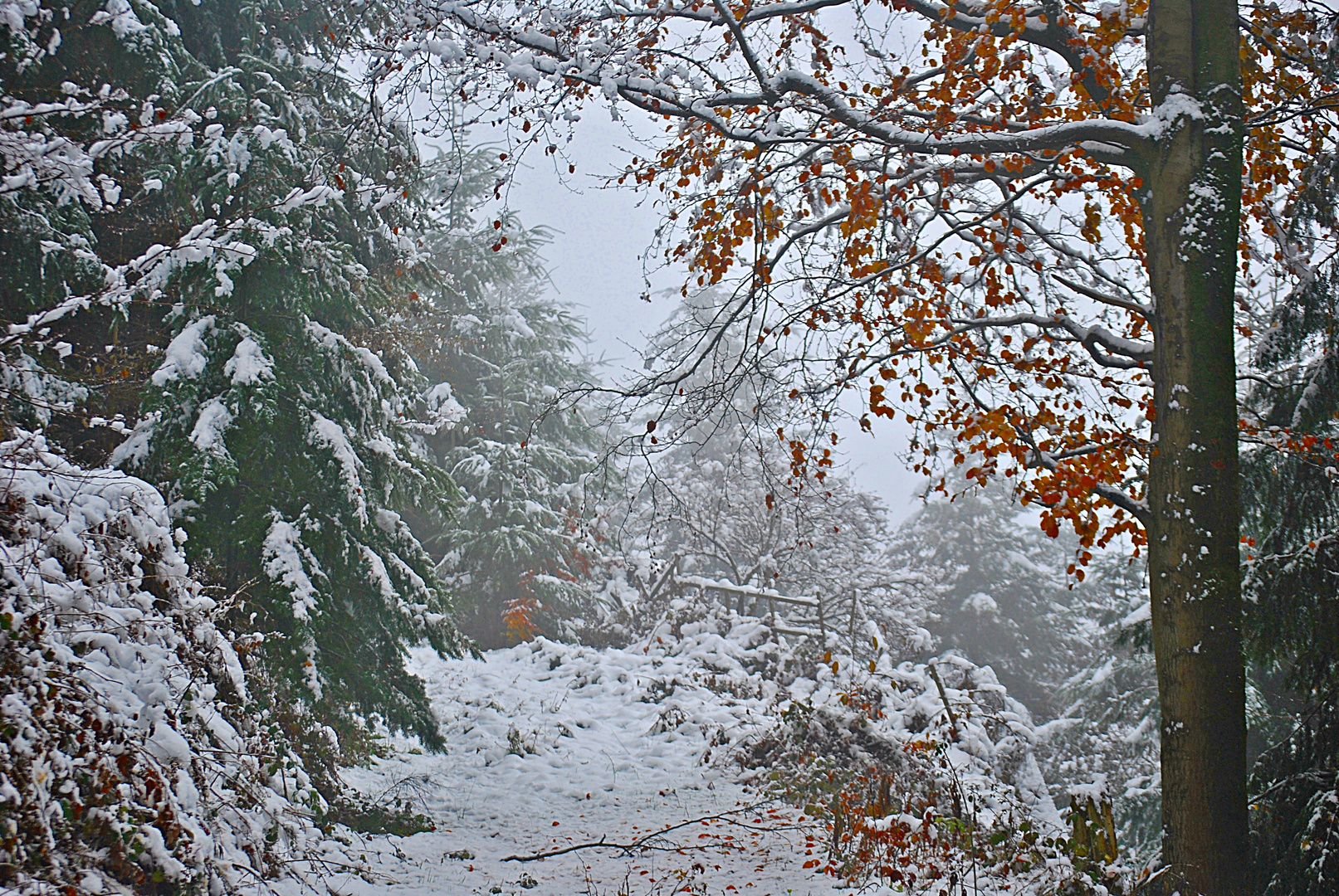 mein Winterweg... 2