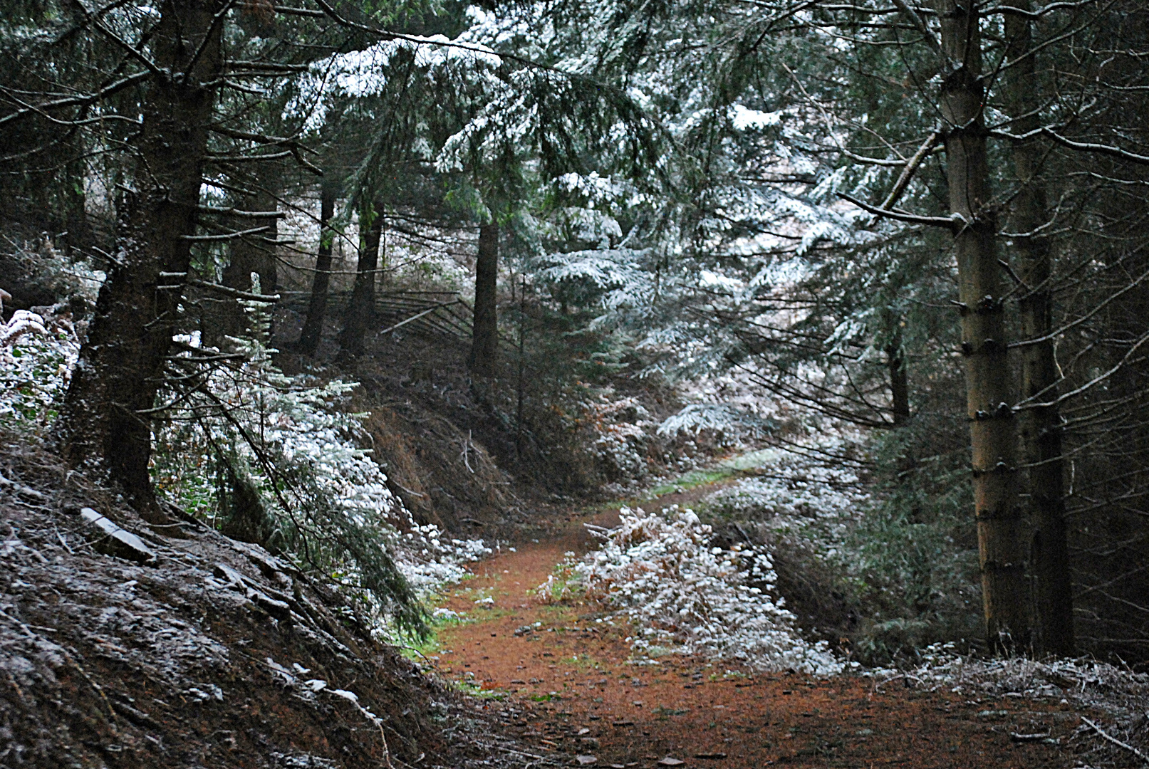 mein Winterweg...