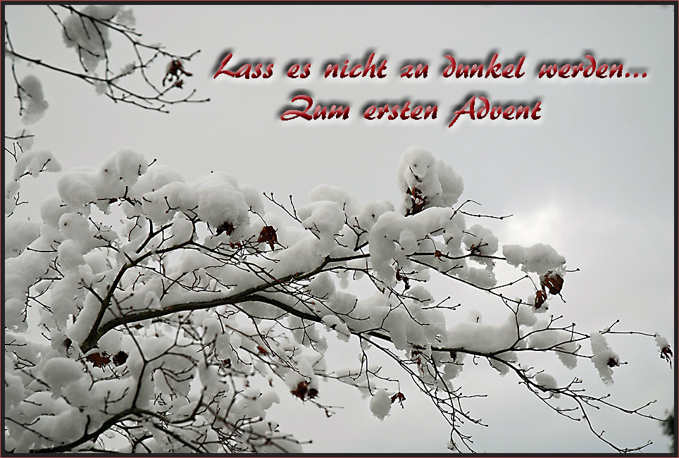 Mein Wunsch zum 1. Advent Foto & Bild gratulation und feiertage
