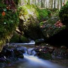 Mein Zauberwald im Lecknertal (Bregenzerwald)