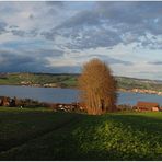 Mein Zuhause am Sempachersee