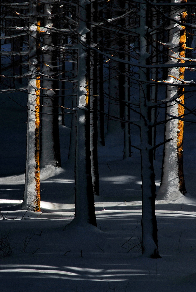 mein zweites winterbild...