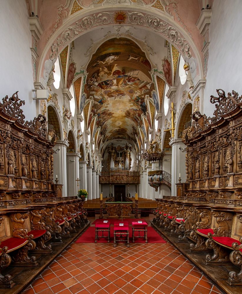 Mein"Blick nach Westen" in der Pfarrkirche  St.Magnus in Bad Schussenried