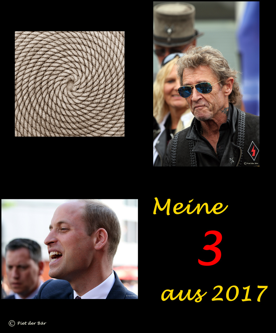 Meine 3 aus 2017