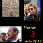 Meine 3 aus 2017