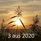 Meine 3 aus 2020