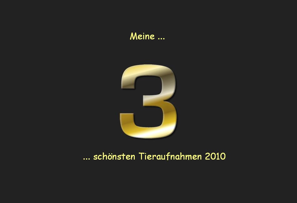 Meine 3 Lieblingstierbilder 2010