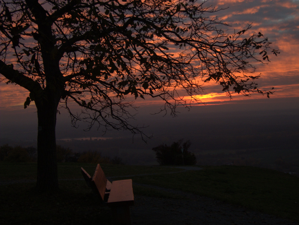 Meine Abendbank