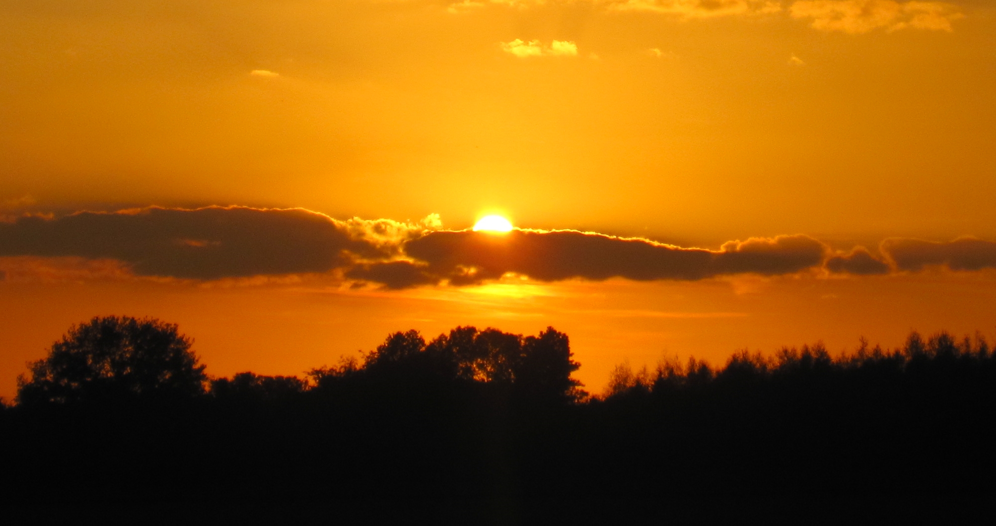 "meine Abendsonne"