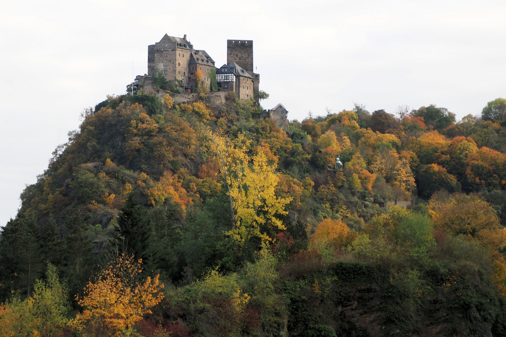 Meine allerneuste Residenz …. 