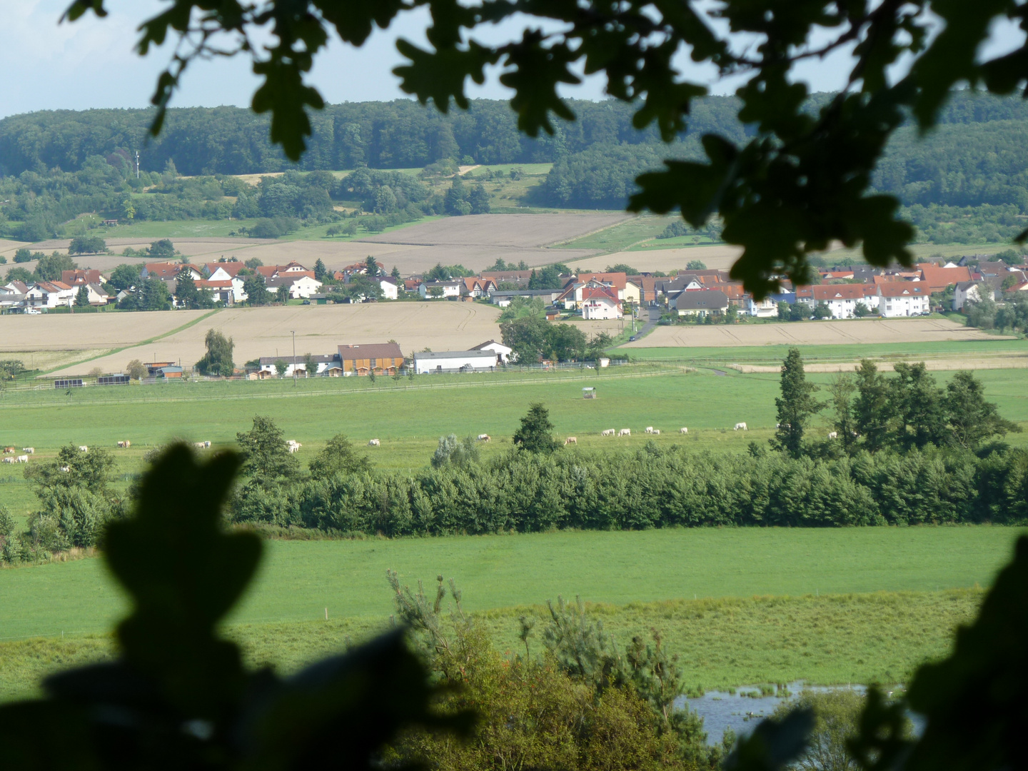 Meine alte Heimat