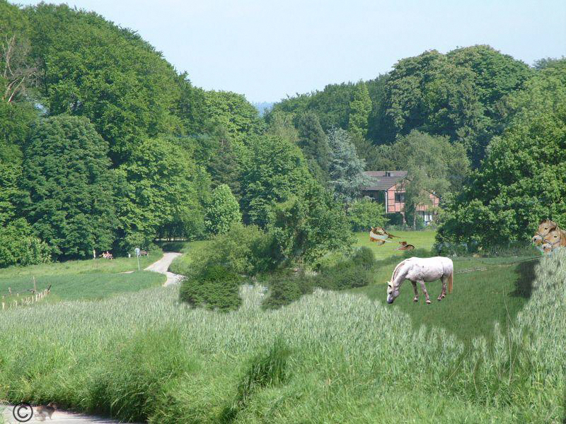 Meine alte Heimat Erkrath 