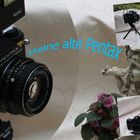 Meine alte Pentax