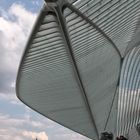 Meine Ansicht vom Bahnhof Liège-Guillemins (Übersicht)